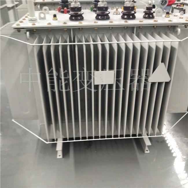 惠州S20-800KVA变压器
